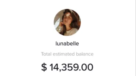 TikTok Earnings Dashboard